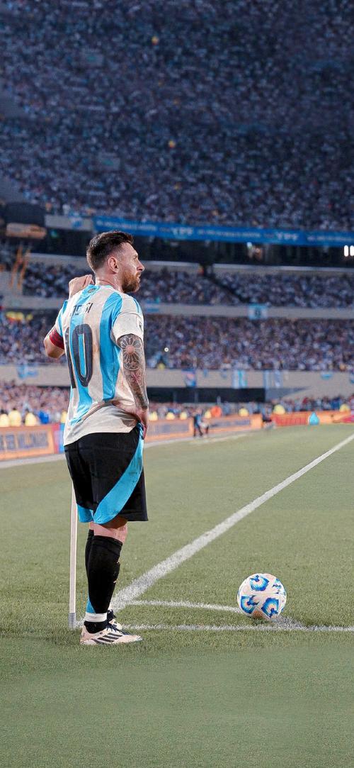 用视野与控 用视野与控